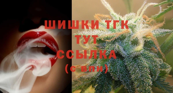 молекула духа Зеленодольск